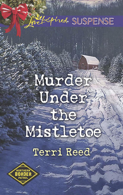 Скачать книгу Murder Under The Mistletoe