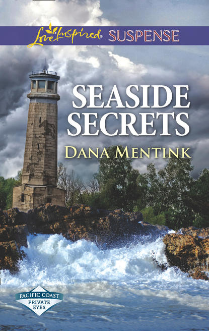Скачать книгу Seaside Secrets
