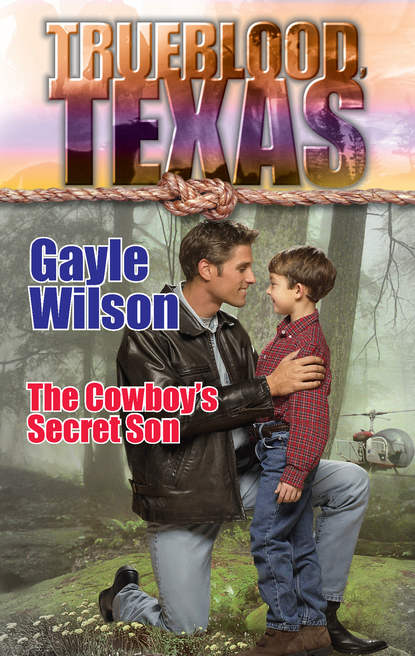 Скачать книгу The Cowboy's Secret Son