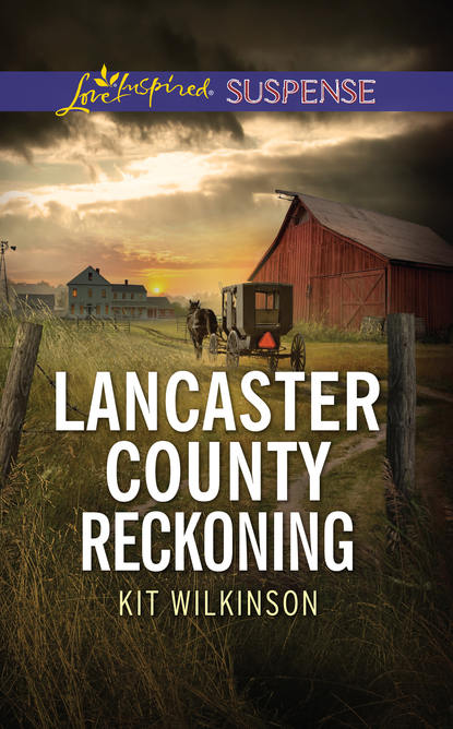 Скачать книгу Lancaster County Reckoning