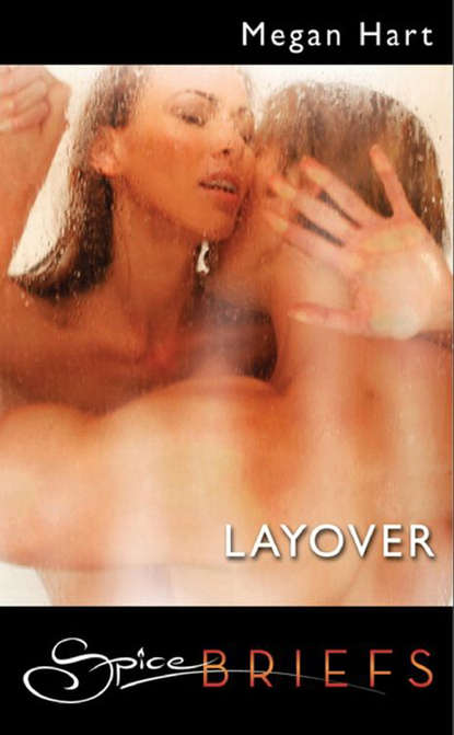 Скачать книгу Layover