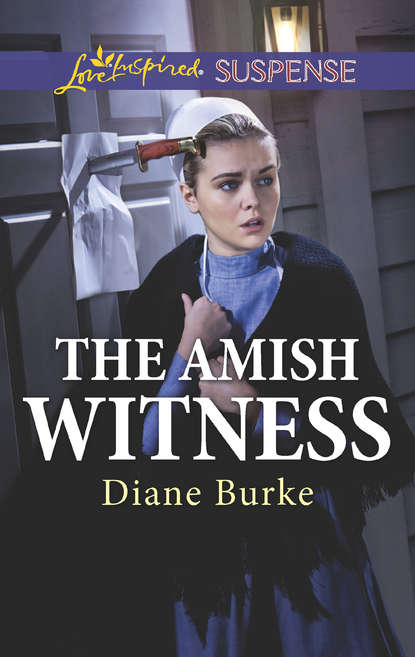 Скачать книгу The Amish Witness