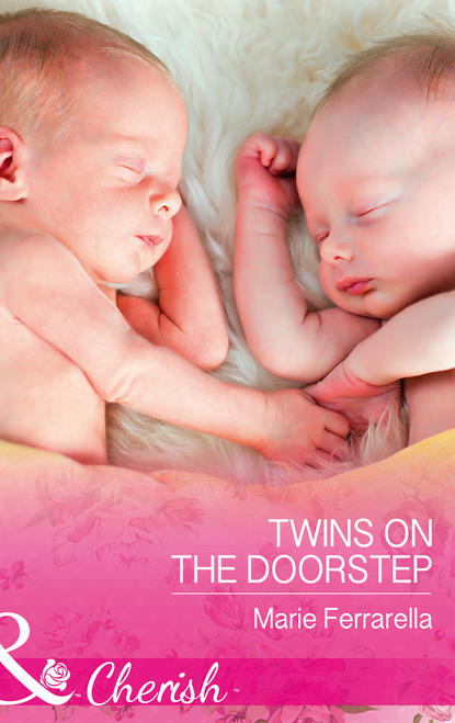 Скачать книгу Twins On The Doorstep