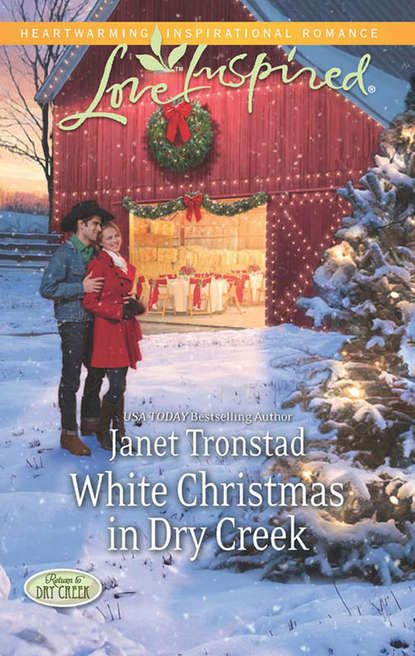 Скачать книгу White Christmas in Dry Creek