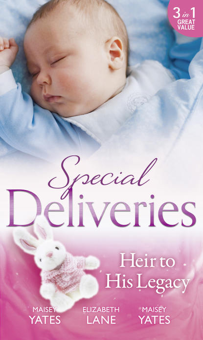 Скачать книгу Special Deliveries: Heir To His Legacy: Heir to a Desert Legacy