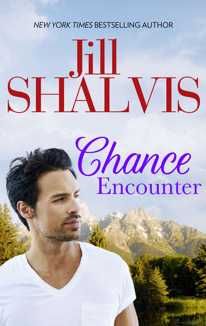 Скачать книгу Chance Encounter