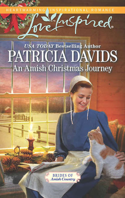 Скачать книгу An Amish Christmas Journey