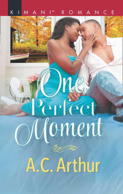 Скачать книгу One Perfect Moment