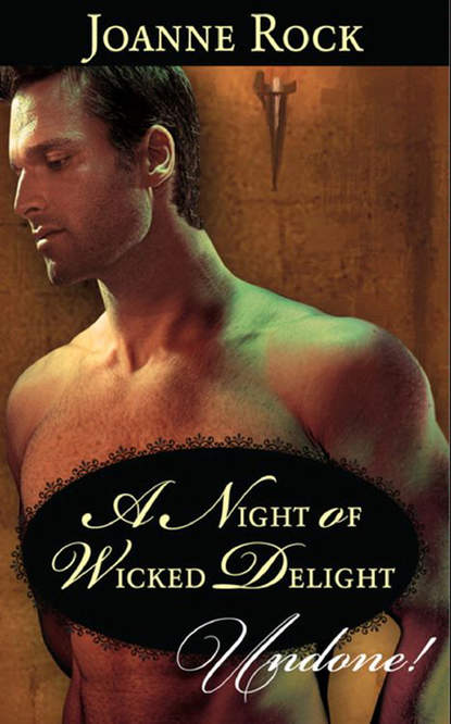 Скачать книгу A Night of Wicked Delight