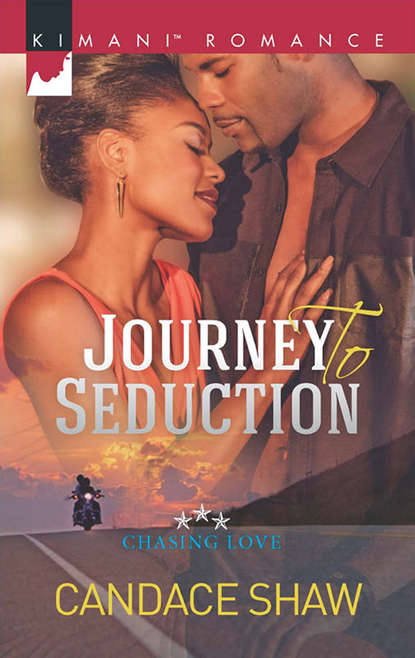 Скачать книгу Journey to Seduction