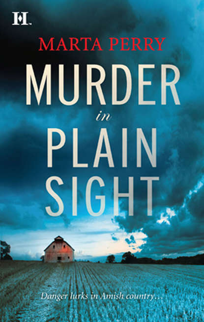 Скачать книгу Murder in Plain Sight