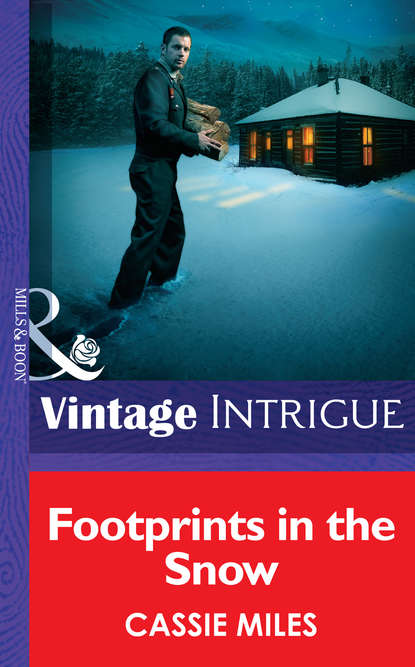Скачать книгу Footprints in the Snow