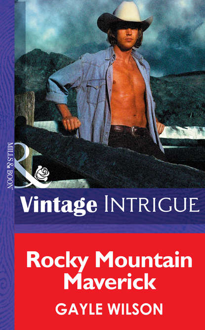 Скачать книгу Rocky Mountain Maverick
