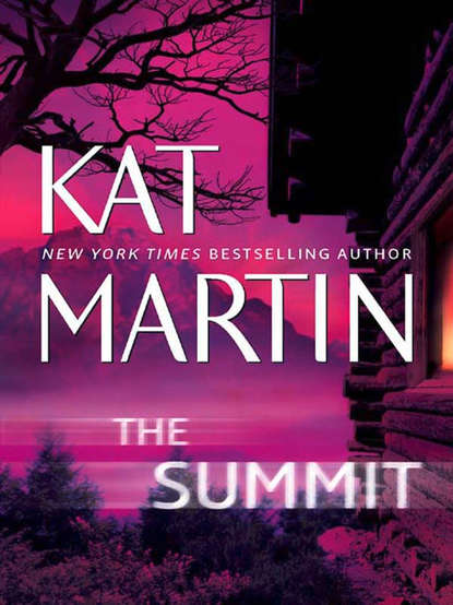 Скачать книгу The Summit