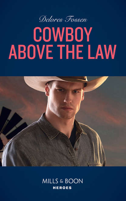 Скачать книгу Cowboy Above The Law