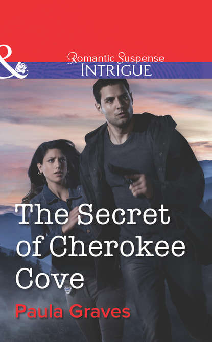 Скачать книгу The Secret of Cherokee Cove