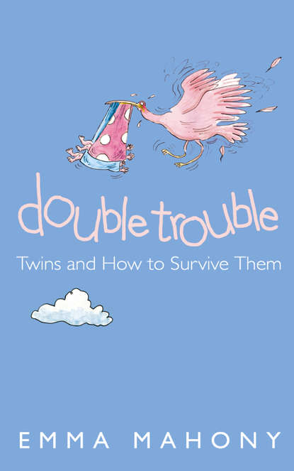 Скачать книгу Double Trouble: Twins and How to Survive Them