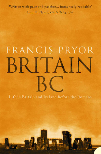 Скачать книгу Britain BC: Life in Britain and Ireland Before the Romans