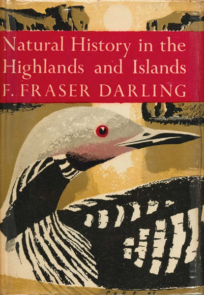Скачать книгу Natural History in the Highlands and Islands