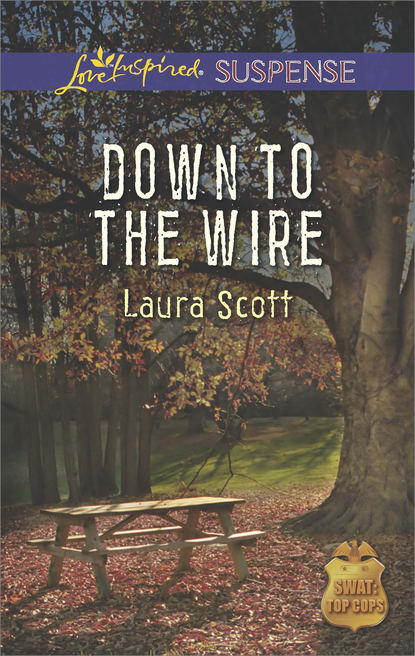 Скачать книгу Down to the Wire