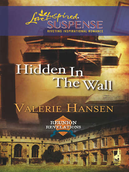 Скачать книгу Hidden in the Wall