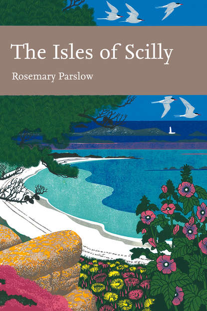 Скачать книгу The Isles of Scilly