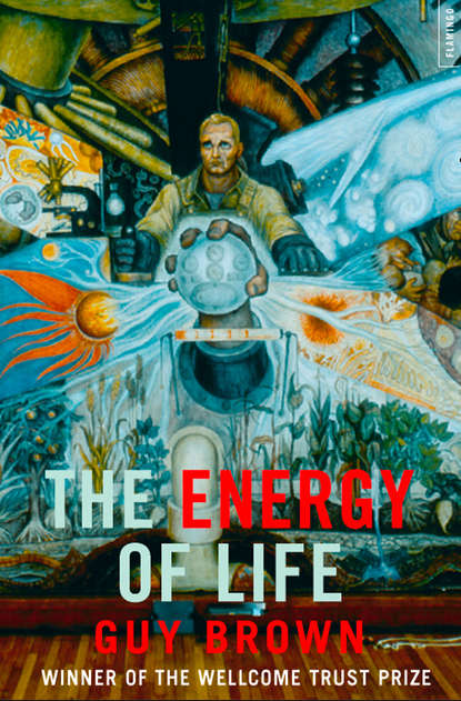 Скачать книгу The Energy of Life: