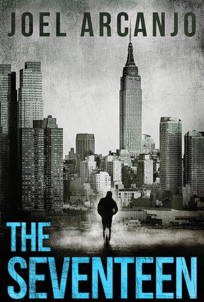 Скачать книгу The Seventeen