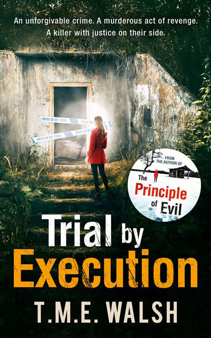 Скачать книгу Trial by Execution