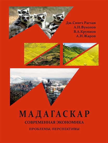 Скачать книгу Республика Мадагаскар. Современная экономика (проблемы, перспективы)