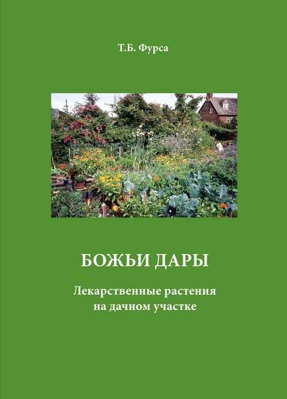 Скачать книгу Божьи дары. Лекарственные растения на дачном участке