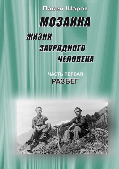 Скачать книгу Мозаика жизни заурядного человека. Часть первая. Разбег