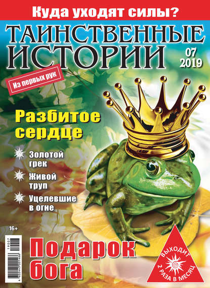 Скачать книгу Таинственные истории №07/2019