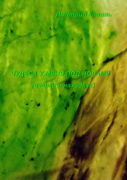 Скачать книгу Чудеса у меня под ногами. Очерки о находках