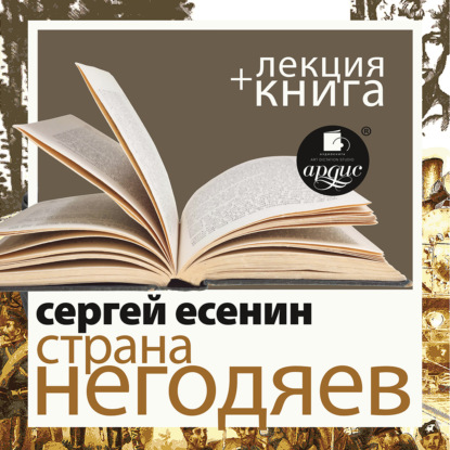 Есенин С. Страна негодяев в исполнении Дмитрия Быкова + Лекция Быкова Д.