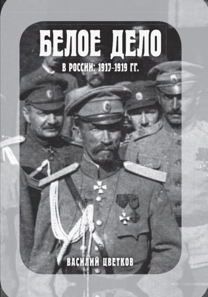 Скачать книгу Белое дело в России: 1917-1919 гг.