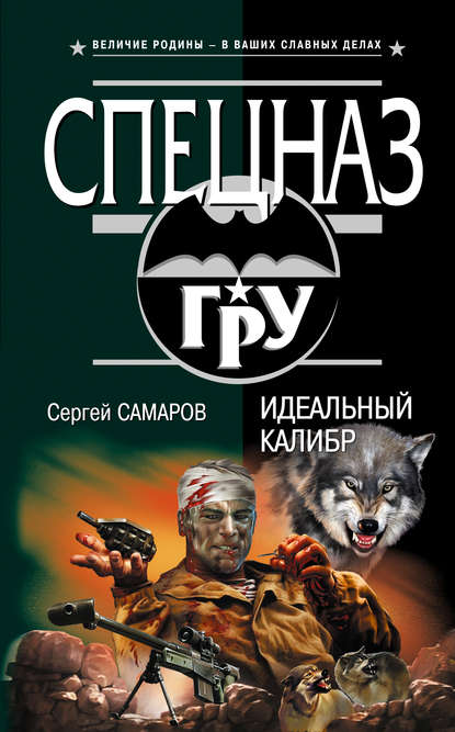 Скачать книгу Идеальный калибр