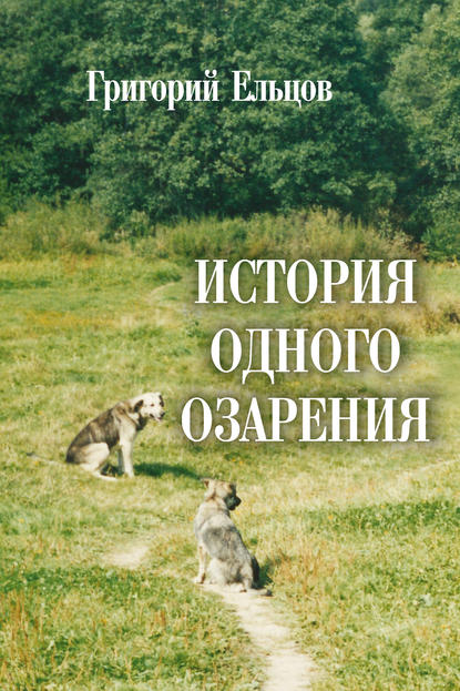 Скачать книгу История одного озарения