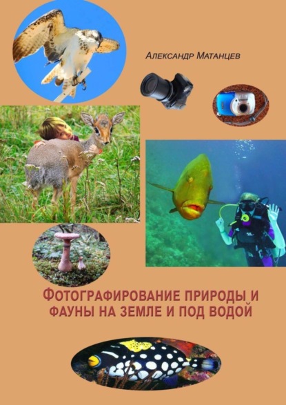 Скачать книгу Фотографирование природы и фауны на земле и под водой