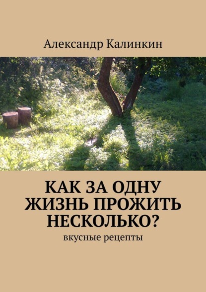 Скачать книгу Как за одну жизнь прожить несколько? Вкусные рецепты