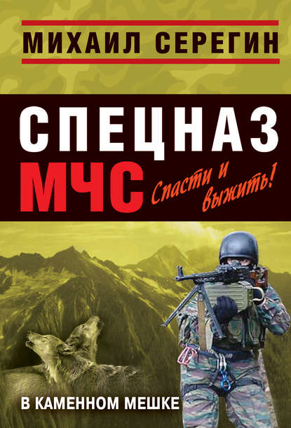 Скачать книгу В каменном мешке