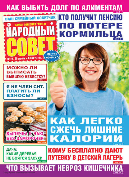 Скачать книгу Народный совет №19/2019