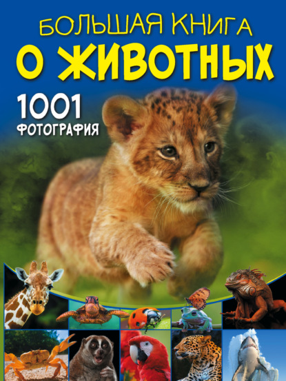 Скачать книгу Большая книга о животных. 1001 фотография