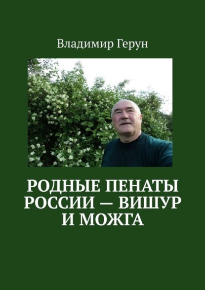 Скачать книгу Родные пенаты России – Вишур и Можга