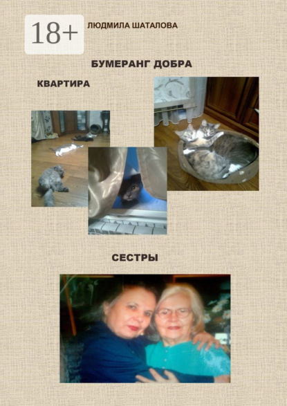 Скачать книгу Бумеранг добра. Квартира. Сестры