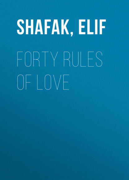 Скачать книгу Forty Rules of Love