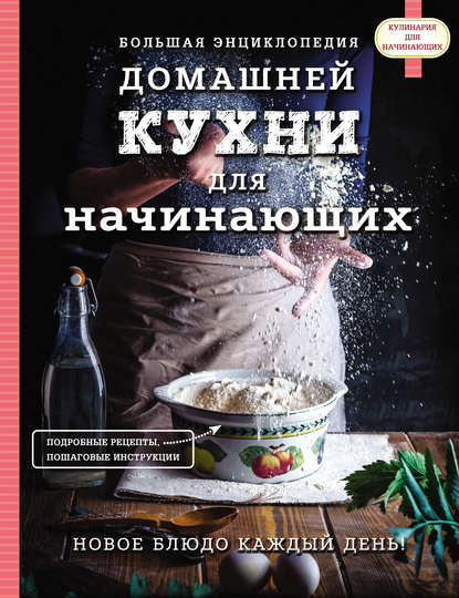 Скачать книгу Большая энциклопедия домашней кухни для начинающих