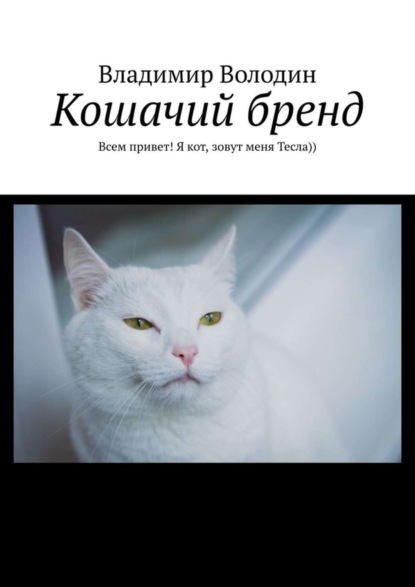 Кошачий бренд. Всем привет! Я кот, зовут меня Тесла))