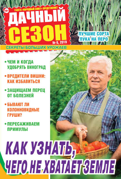 Скачать книгу Дачный сезон №06/2019
