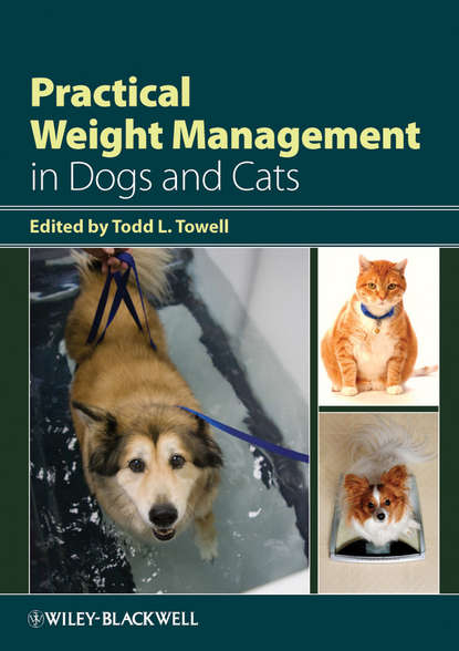 Скачать книгу Practical Weight Management in Dogs and Cats